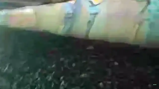 $TAG Pump.fun featured clip thumbnail
